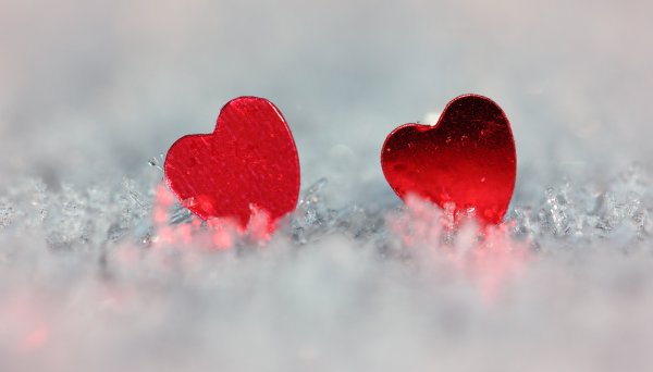 Сердце на снегу