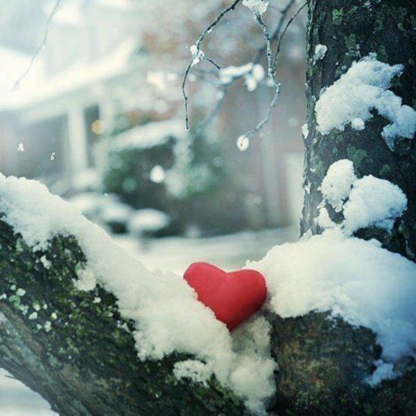 Сердце на снегу в лесу