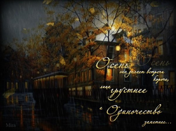 Спокойной дождливой осенней ночи