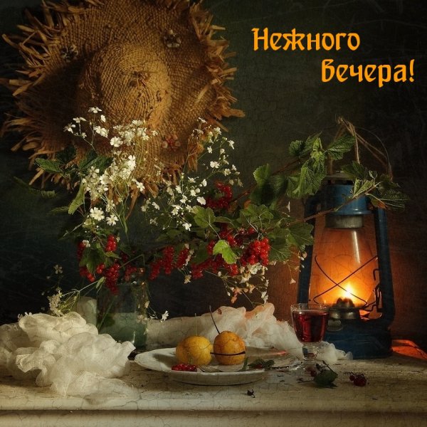 Натюрморт добрый вечер