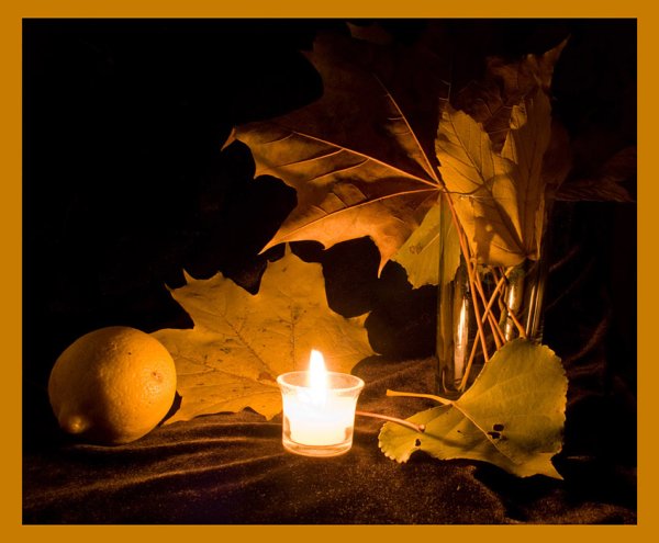 Спокойной ночи лист осенний