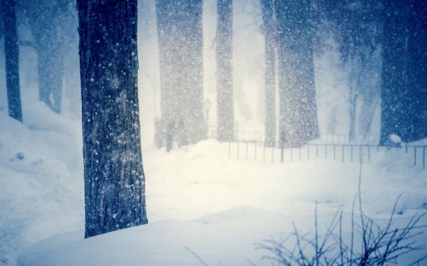 Фон зима для фотошопа