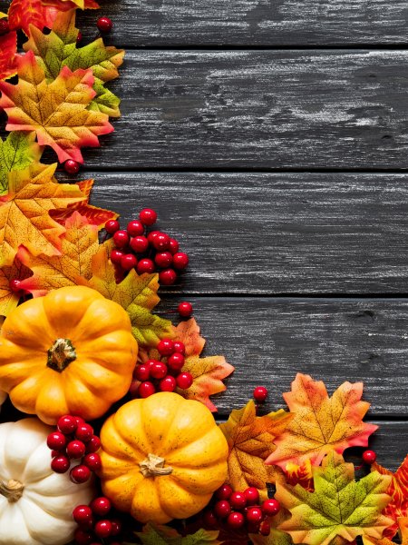 Осенний фотофон