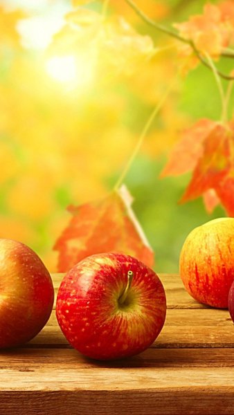 Яблоки осенью