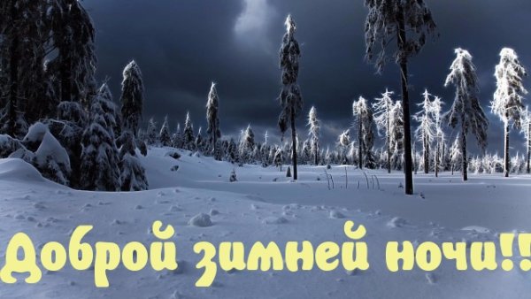 Тихой спокойной зимней ночи