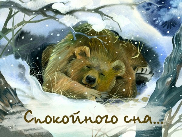 Любовь Лазарева художник иллюстратор