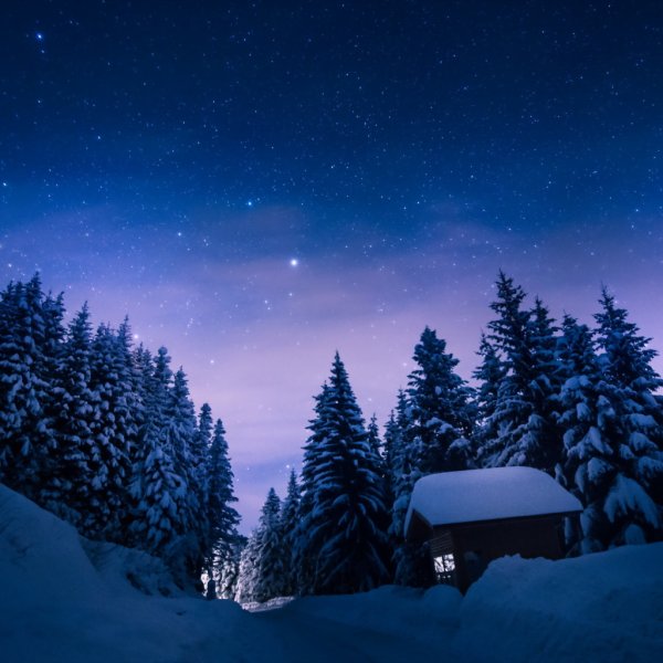 Спокойной зимней ночи