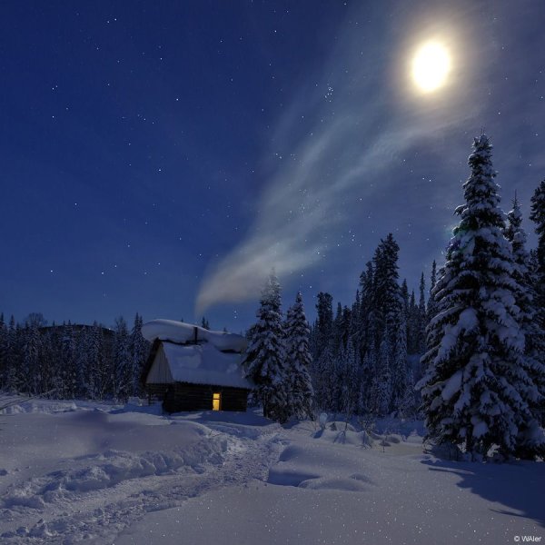 Морозная ночь