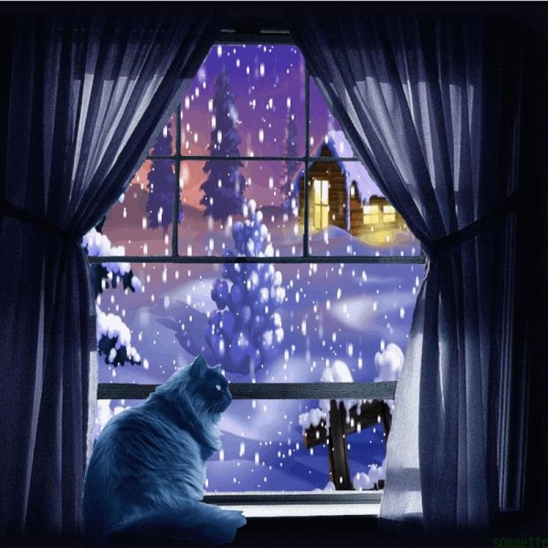 Зима за окном