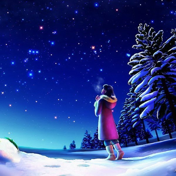 Мечты в новогоднюю ночь