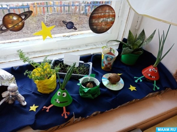 Космический огород на окне