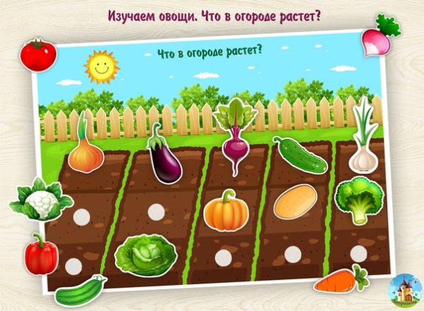 Грядка с овощами для детей