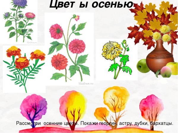 Осенние цветы для дошкольников