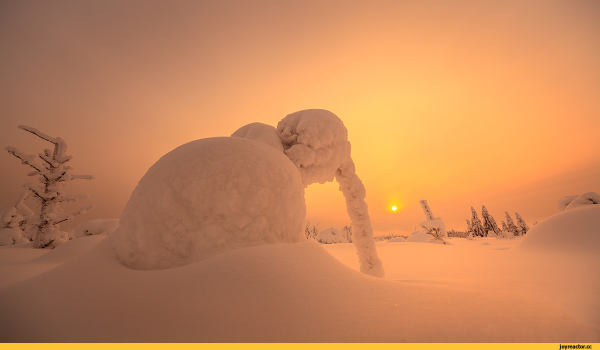 Причудливые сугробы