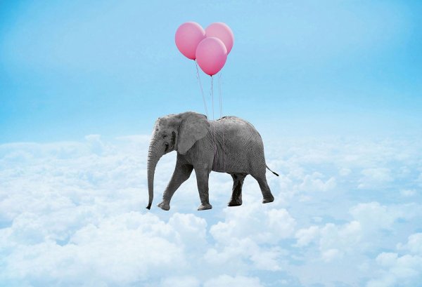 Летающие слоны