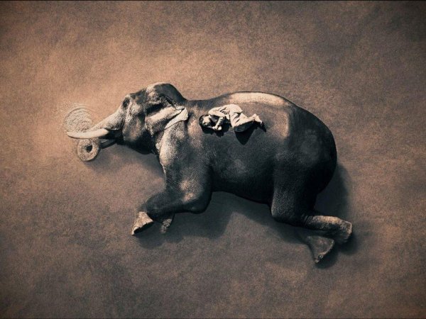 Грегори Колберт пепел и снег