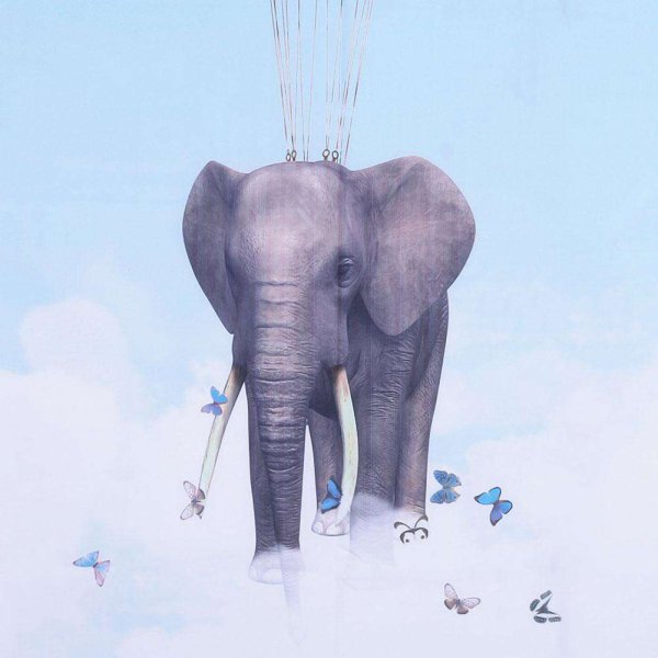 Слоны с зонтами