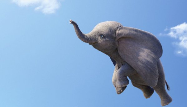 Дамбо. Летающий слонёнок