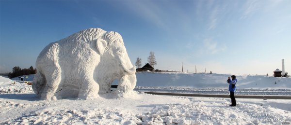 Мамонт Братск снежный