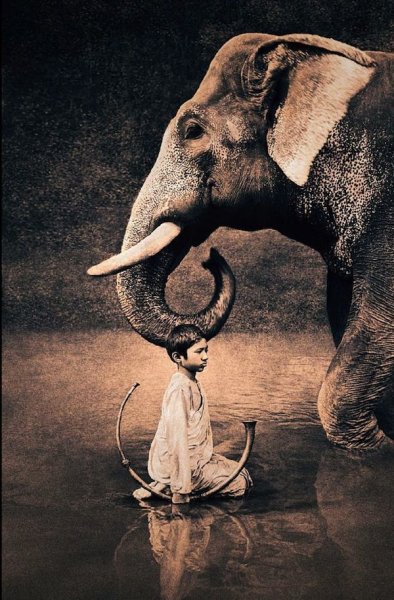 Грегори Колберт