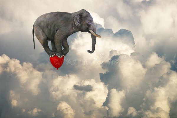 Слон в небе