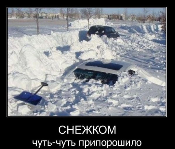 Много снега прикол