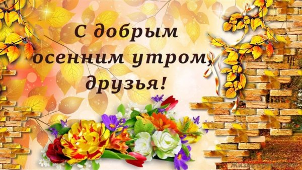 С добрым осенним утром друзья