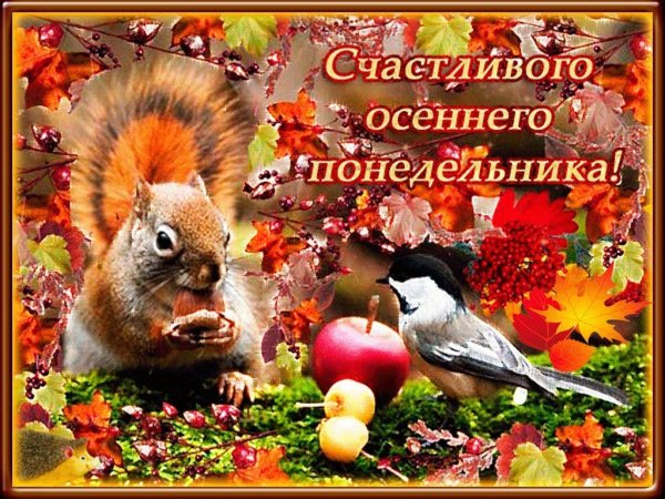 Доброго осеннего понедельника