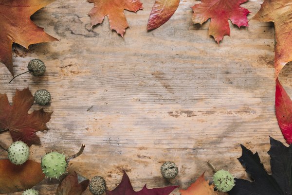 Подложка осень