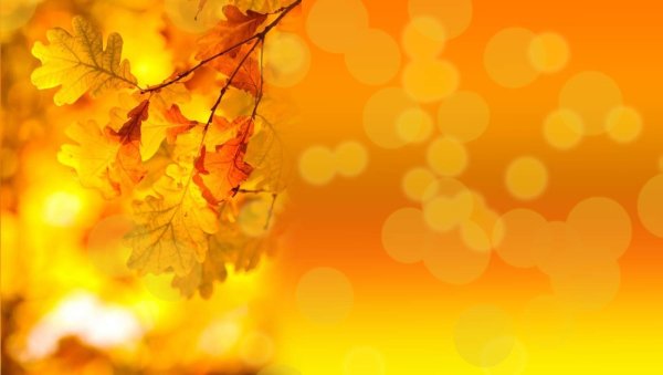 Осенний фон