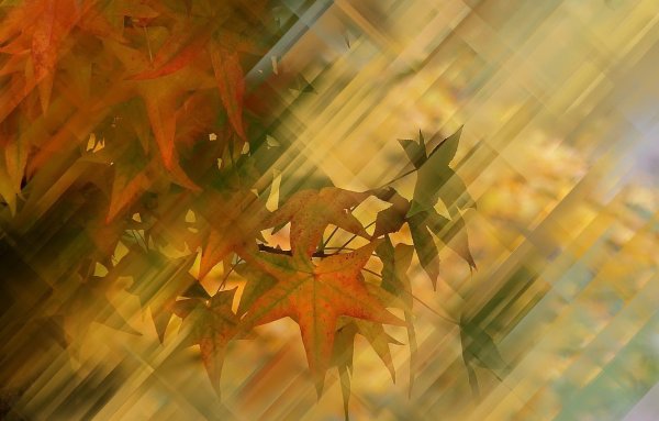 Красивый осенний фон