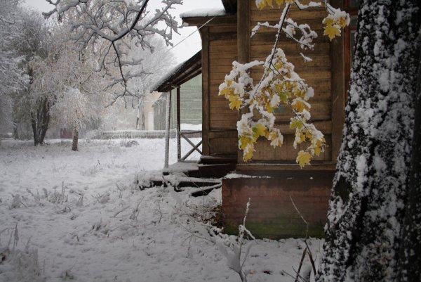 Поздняя осень на даче