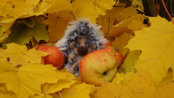 Про осень прикольные