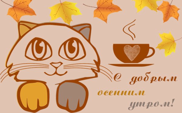 Доброе осеннее утречко с котиками
