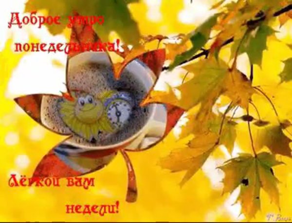 С добрым осенним утром понедельника