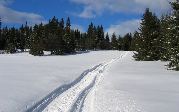 Снежная тропинка
