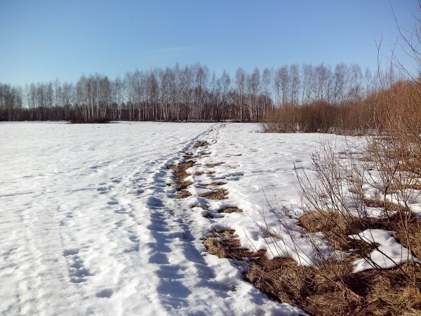 Снежный Покров наст