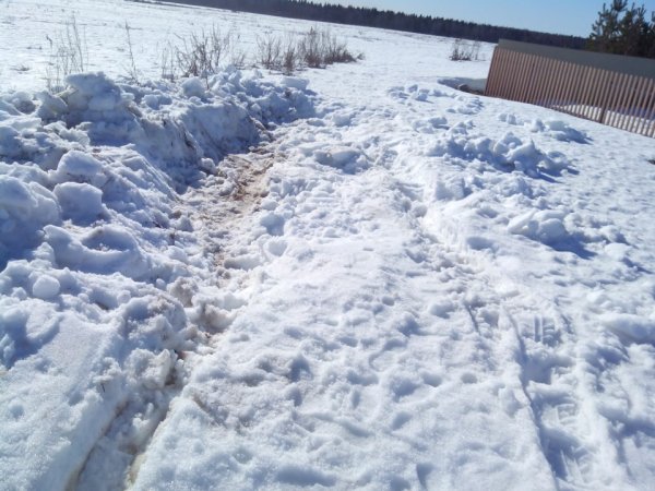 Наст на снегу