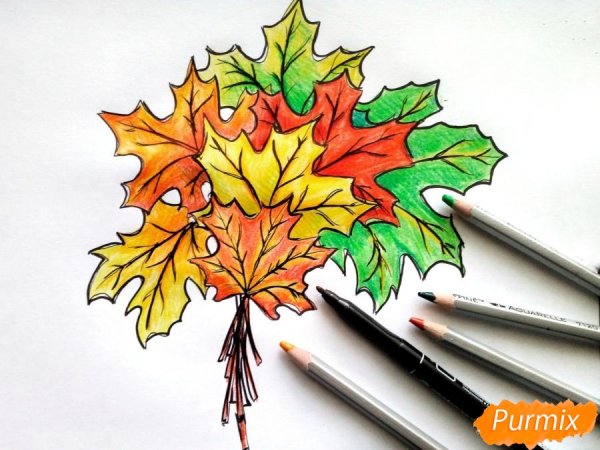 Кленовый лист цветными карандашами