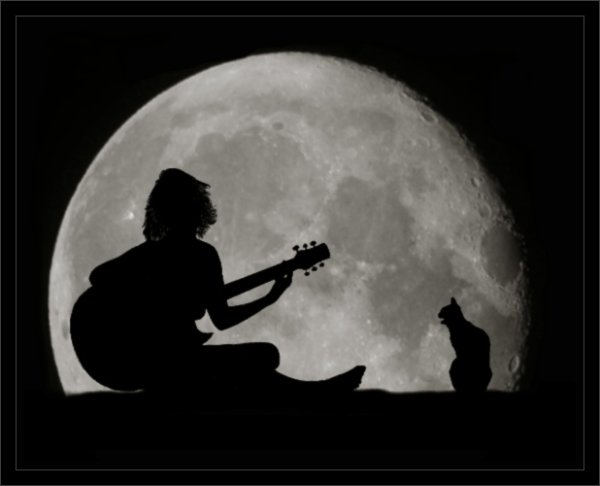 Гитара под луной