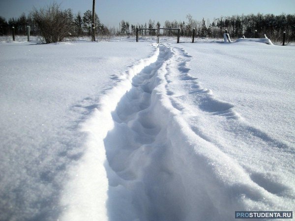Снежная тропинка