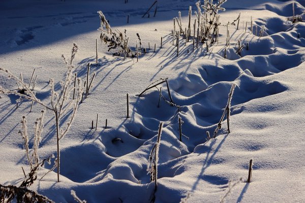 Снежная тропинка