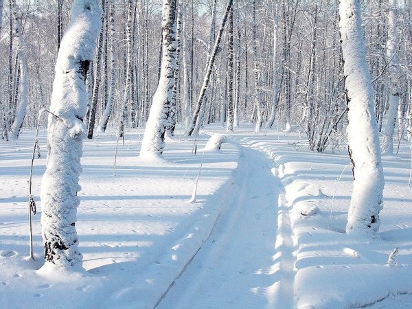 Тропинка в сугробе