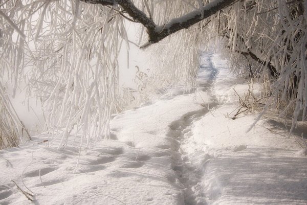 Занесло тропинку снегом