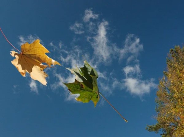 Осенний воздух