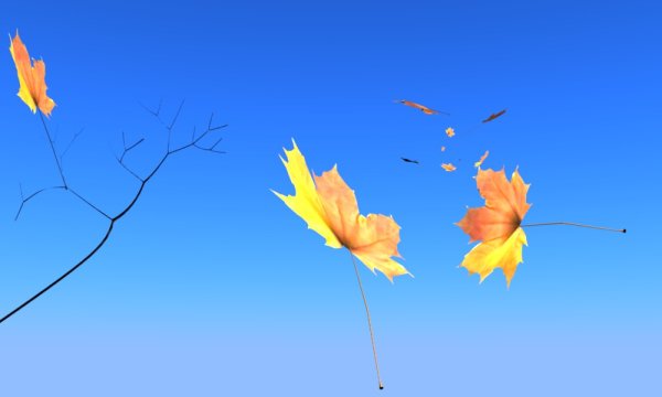 Кленовые листья на ветру