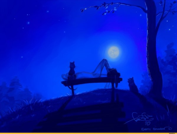 Луна ночь скамейка