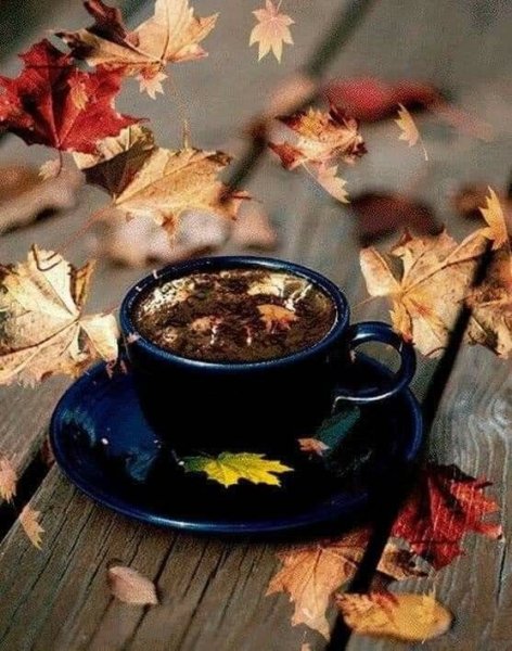 КС добрым осннним утром суббоьы