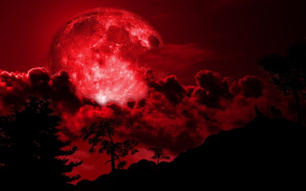 Кровавая Луна / Bloodmoon (1997)