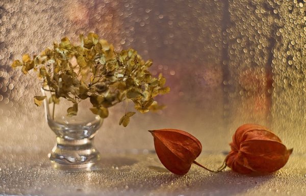 Натюрморт осенний